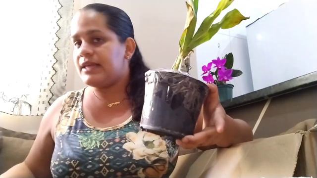 Compras de orquídeas na promoção pela internet смотреть онлайн