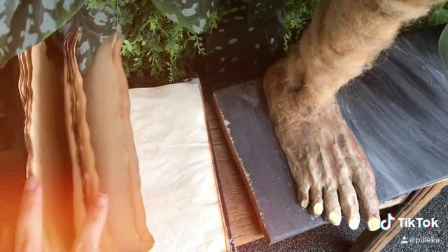 Handmade Needle felting Harry Potter Dobby TikTok смотреть онлайн