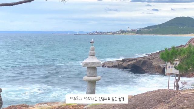 Eng | 자취 브이로그 |🙋🏻♀️#23| 본가 다녀온 일상 | 월정교❤️| 해바라기카페🌻 | 이가리전망대 | 바다뷰카페 | 소바맛집🍜| 엄마표샌드위치🥪|마라탕 смотреть онлайн