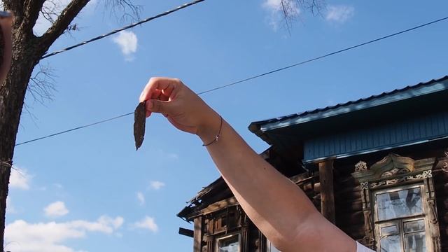 Экскурсия по Красному Перекопу с Яном Левиным смотреть онлайн