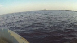 Сом на перемет. Ловим сомов на волге.