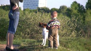 Если я чешу в затылке не беда