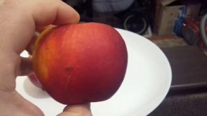 Обзор сорта яблок  Крымсон Крисп   от  Максима  Гаранжи