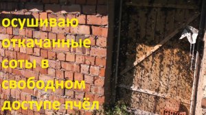 продолжаю так делать