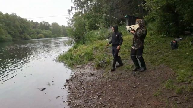 Рыбалка спиннингом на горбушу тасман (дьявол) смотреть онлайн