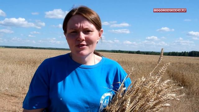 Апробация семян смотреть онлайн