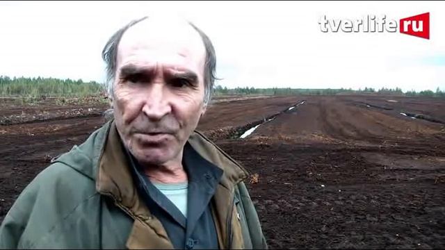 Васильевский Мох смотреть онлайн