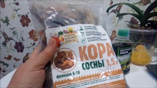 Март))Орхидею в подарок -НЕ ХОЧУ )))Почему??? смотреть онлайн