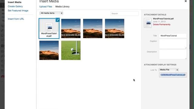 Linking PDF Files in WordPress смотреть онлайн