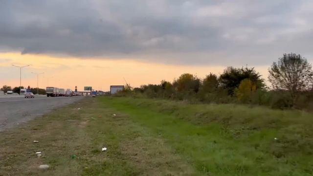 Собачки при виде нас бросились бежать на встречу/Их последний шанс на спасение смотреть онлайн