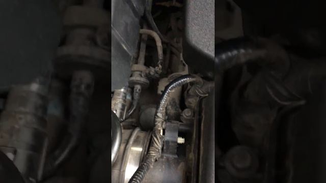 Странный звук на Ford Focus 3 2.0 150 л/с смотреть онлайн