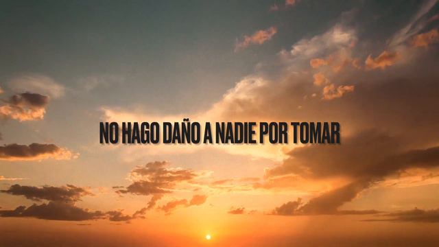 Casi Una Vida VIDEO LYRIC | Daniela Romo #VencerLaCulpa смотреть онлайн