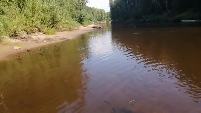 Путешествие в Царство Тайменя смотреть онлайн