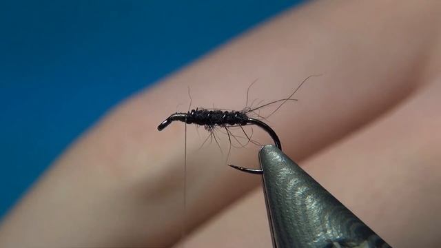Fly Tying Black Spider | Hackles & Wings
