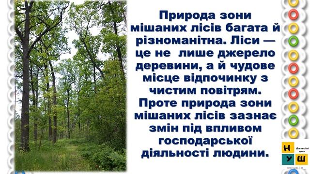 ЯДС 62. ГОСПОДАРСЬКА ДІЯЛЬНІСТЬ ЛЮДЕЙ У ЗОНІ МІШАНИХ ЛІСІВ. ОХОРОНА ПРИРОДИ 4 клас Жаркова смотреть онлайн