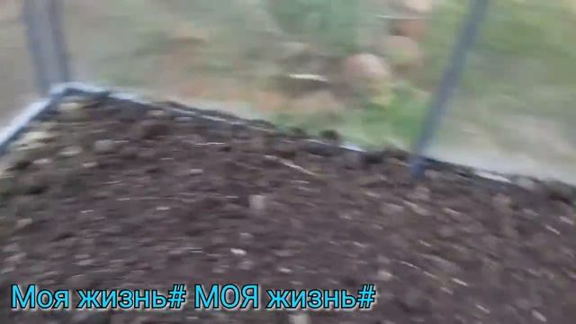 Объект сдан/КОРМИЛИЦЫ/Огород//Моя жизнь# МОЯ жизнь# смотреть онлайн