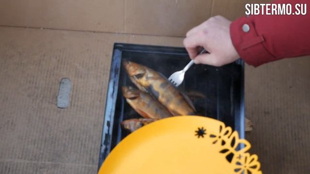 Коптильня Горячего Копчения с водяным затвором СИБТЕРМО! смотреть онлайн
