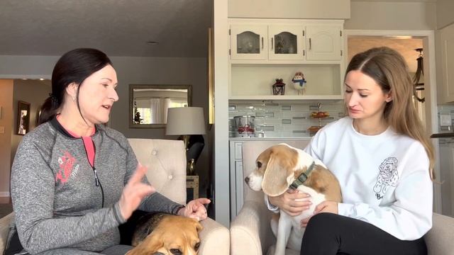 ПОЗНАКОМЬТЕСЬ С НАШИМИ СОБАКАМИ И КОШКОЙ, КАК ЖИВУТ НАШИ ПИТОМЦЫ В США, СКОЛЬКО ОБХОДИТСЯ СОДЕРЖАНИ смотреть онлайн