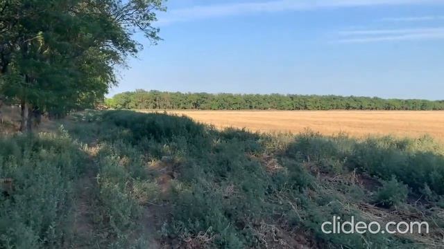 Кто покупает волосы дорого смотреть онлайн