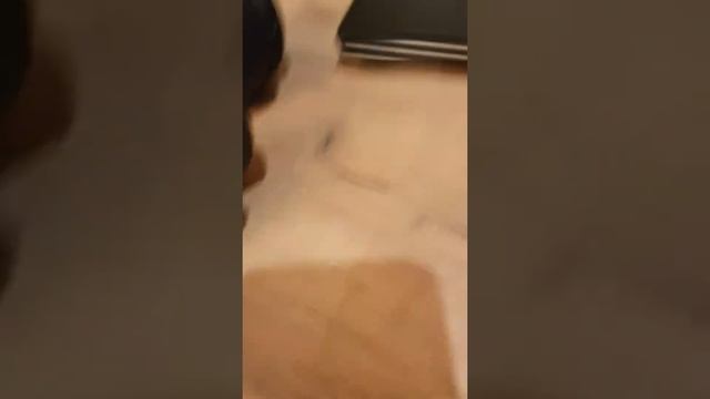 распоковка роблокс фигурки смотреть онлайн