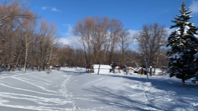 Утренний пилатес. Гуляем в парке. Много, много снега!!!