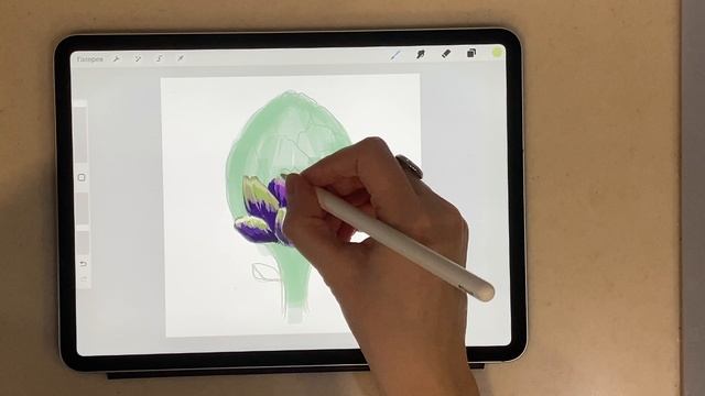 Рисую скетч артишок на планшете в Procreate. Пошаговый урок диджитал рисования на Айпаде Online смотреть онлайн