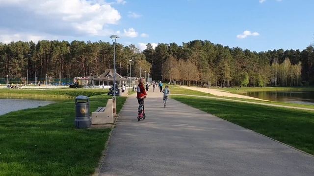 Едем по Литве; Druskininkai; Друскининкай 2023.04; Цветение нарциссов. смотреть онлайн