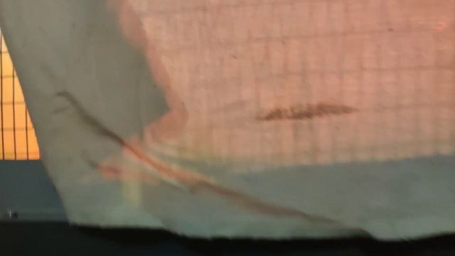 Какие получились цыплята от скрещивания? смотреть онлайн