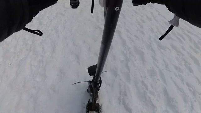 Электросамокат Kugoo M2 Pro На что способны легкие самокаты ?