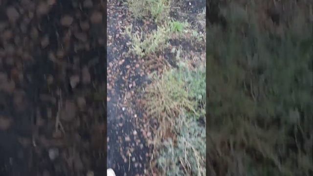 Разные взгляды на жизнь. смотреть онлайн