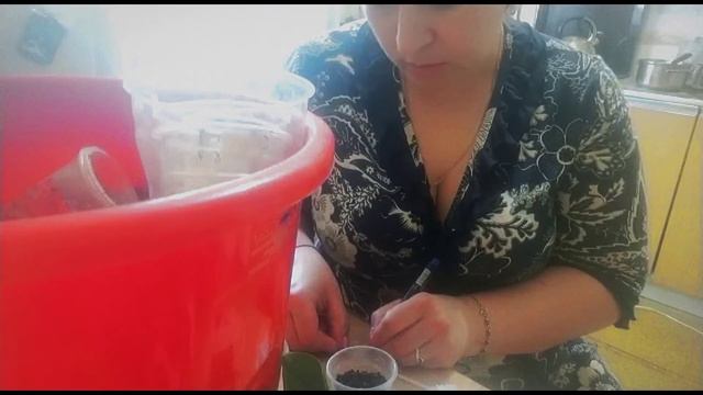 Будни цветовода..... смотреть онлайн