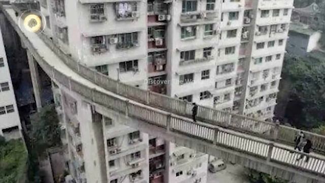 China's New Mega Achievements Shocked American Scientists In Urdu Hindi смотреть онлайн