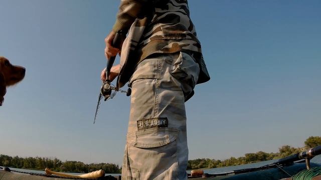 Сом на живца. Рыбалка одной поклевки. смотреть онлайн