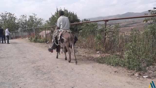 Арцах живёт/ Innovation/ Село Рев смотреть онлайн