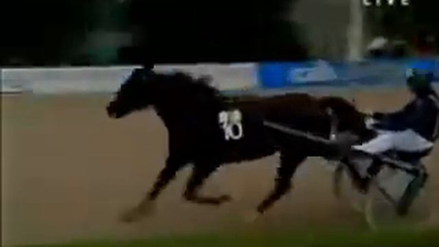 Graf Kalman Hunyady 1993 -Queen L. смотреть онлайн