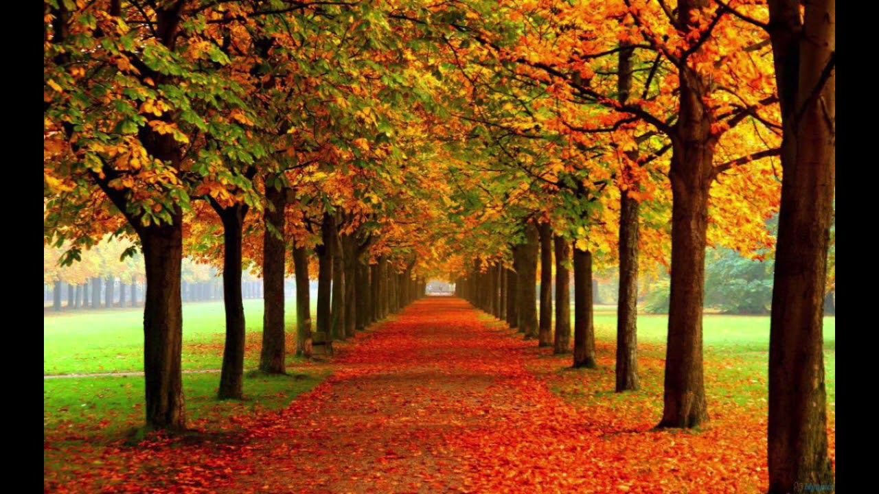 ДиДюЛя - "Один день в сентябре" смотреть онлайн