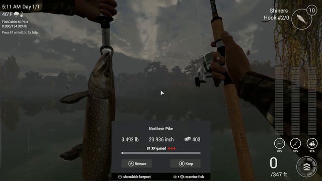 Fishing Planet: How-to Win the Emerald Lake Predator Hunt with Pike смотреть онлайн