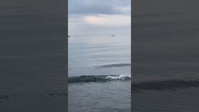 Черногория 31 декабря. Последняя вечерняя прогулка вдоль моря. Провожаем 2023 год. смотреть онлайн