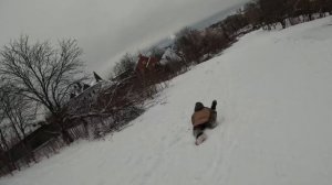 МОЙ СЫН СТАЛ УГОЛОВНИКОМ И ЕГО ПОЙМАЛИ