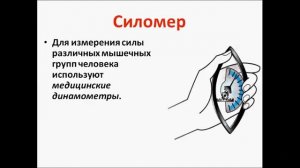 Динамометр. Физика 7 класс