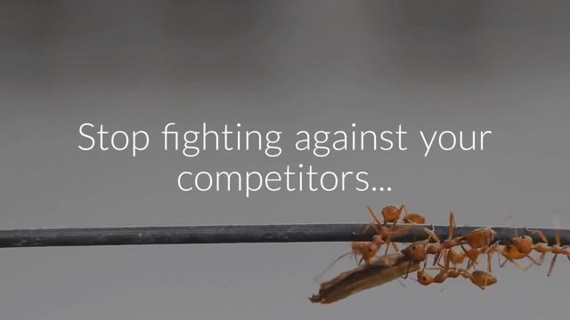 SEO Services company based in Chester смотреть онлайн