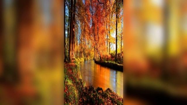 Федерико Гарсия Лорка. "Я боюсь потерять это светлое чудо" смотреть онлайн