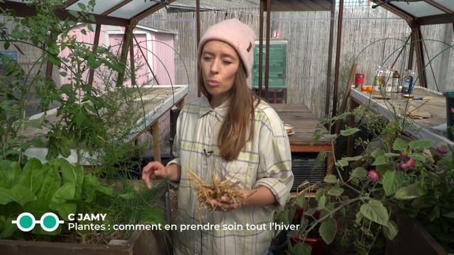 Plantes : comment en prendre soin tout l'hiver - C Jamy смотреть онлайн