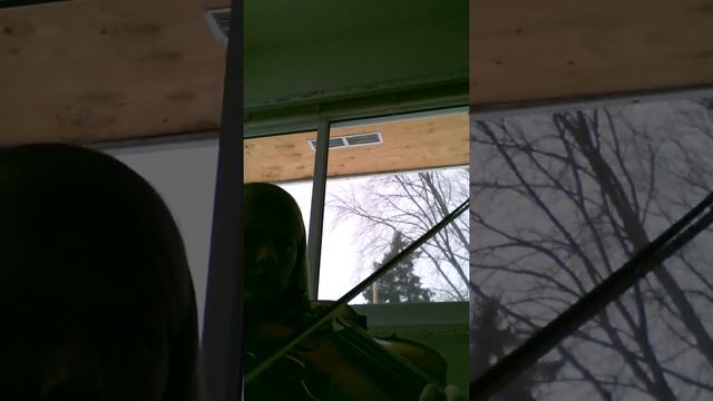 12 Duets Mozart Violin And Viola Number 12 Viola