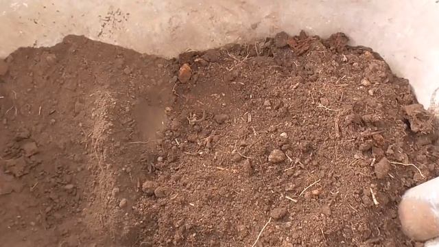Грунт для выращивания рассады своими руками - самая дешевая почва для посевов! смотреть онлайн