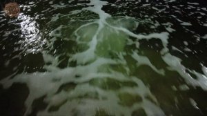 НЕобычный вариант АЭРАЦИИ в пруду с помощью сочащегося шланга