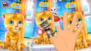 Мой говорящий Том ЗА ЗОЛОТОМ СЕМЬЯ ПАЛЬЧИКОВ Детские песенки Развивающий мультик видео Папа пальчик