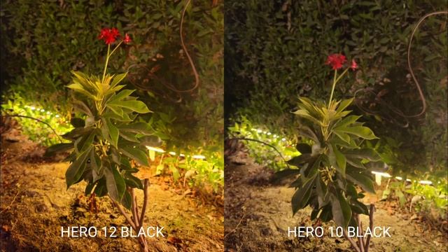GoPro Hero 12 BLACK VS GoPro Hero 10 BLACK | NIGHT MODE | Camera Test смотреть онлайн