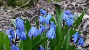 26 марта народный праздник Никифоров День. Что нельзя делать 26 марта. Народные традиции и приметы.