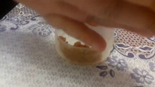 КАК ПРОРАЩИВАТЬ ЗЕРНО ДЛЯ ПОПУГАЕВ смотреть онлайн